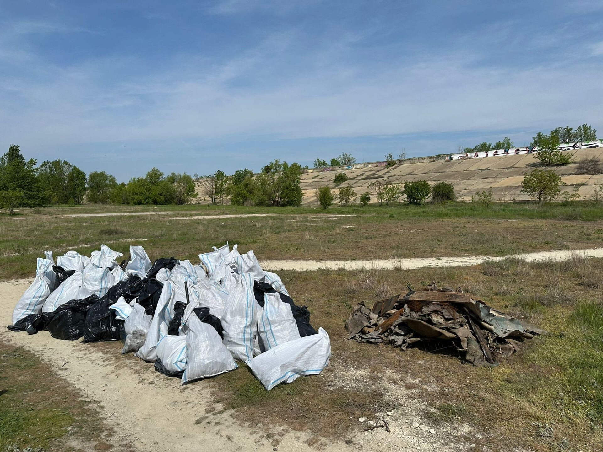 ecologizare delta vacaresti